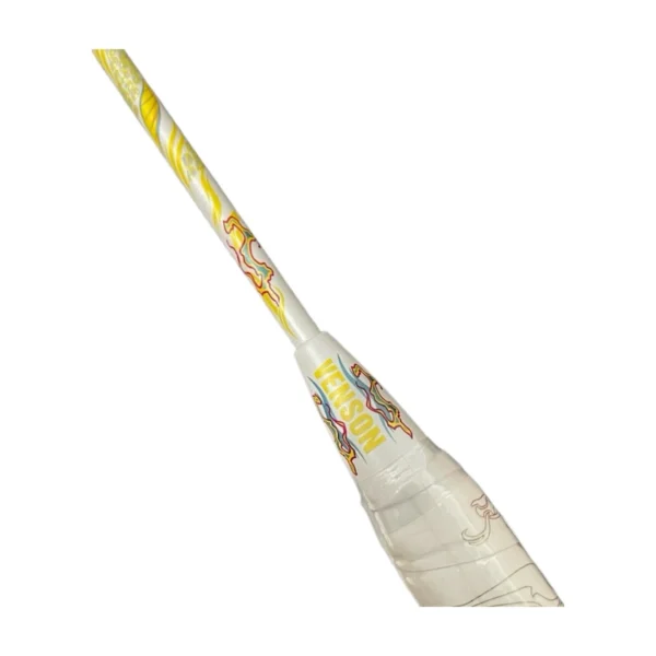 Vợt Cầu Lông VS YouLong - Ảnh 3